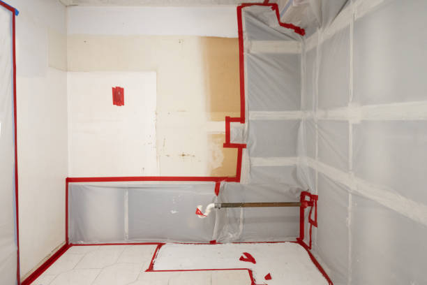 Best Commercial Mold Inspection  in Bessemer, AL