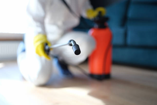 Best Biohazard Mold Removal  in Bessemer, AL
