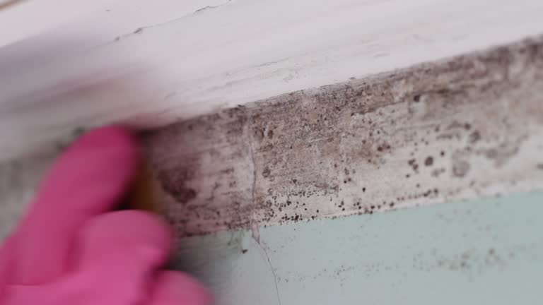 Asbestos and Lead Testing During Mold Inspection in Bessemer, AL